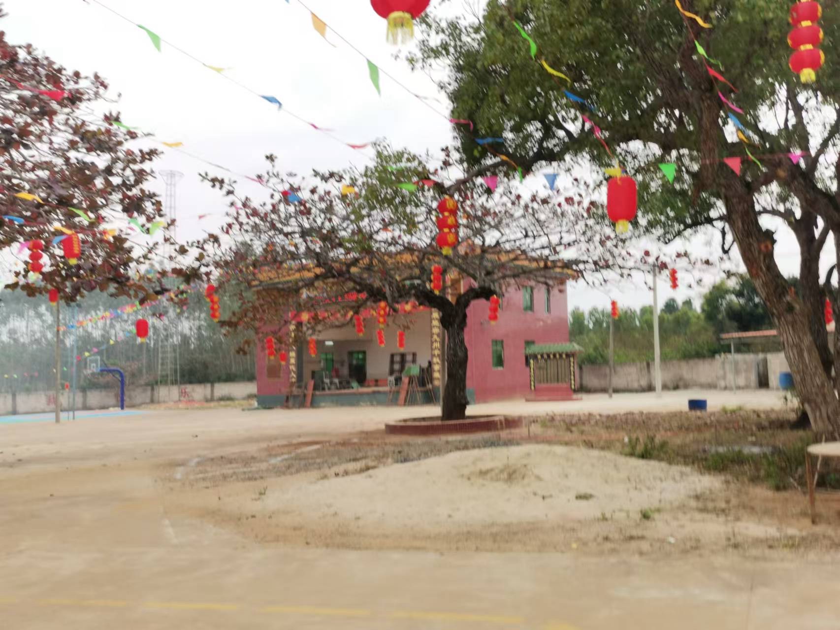 科家村文化广场旅行图片 3