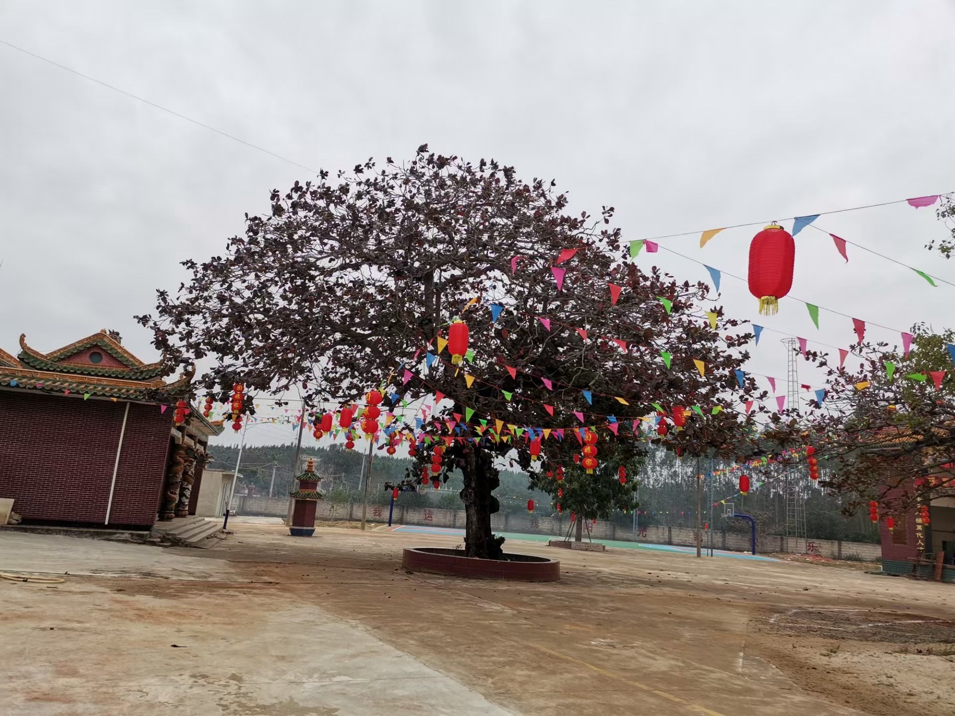 科家村文化广场旅行图片 2