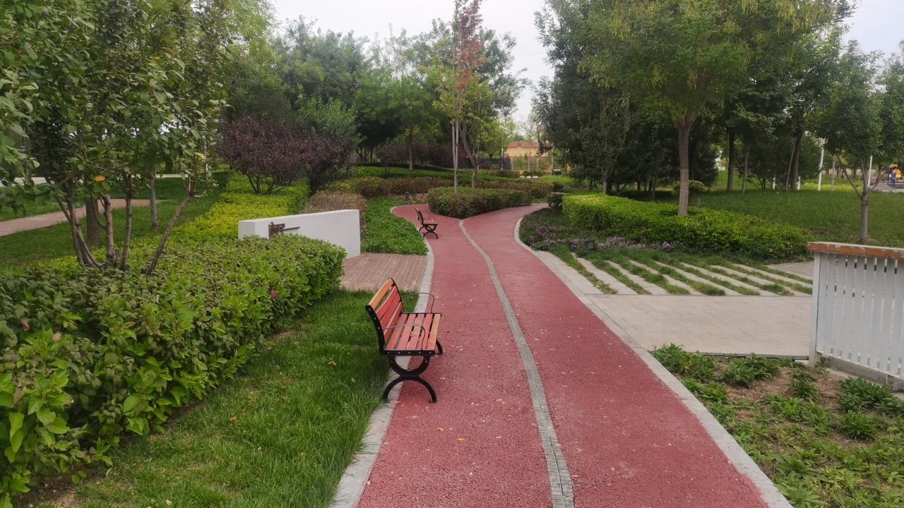 市民客厅公园旅行图片 3