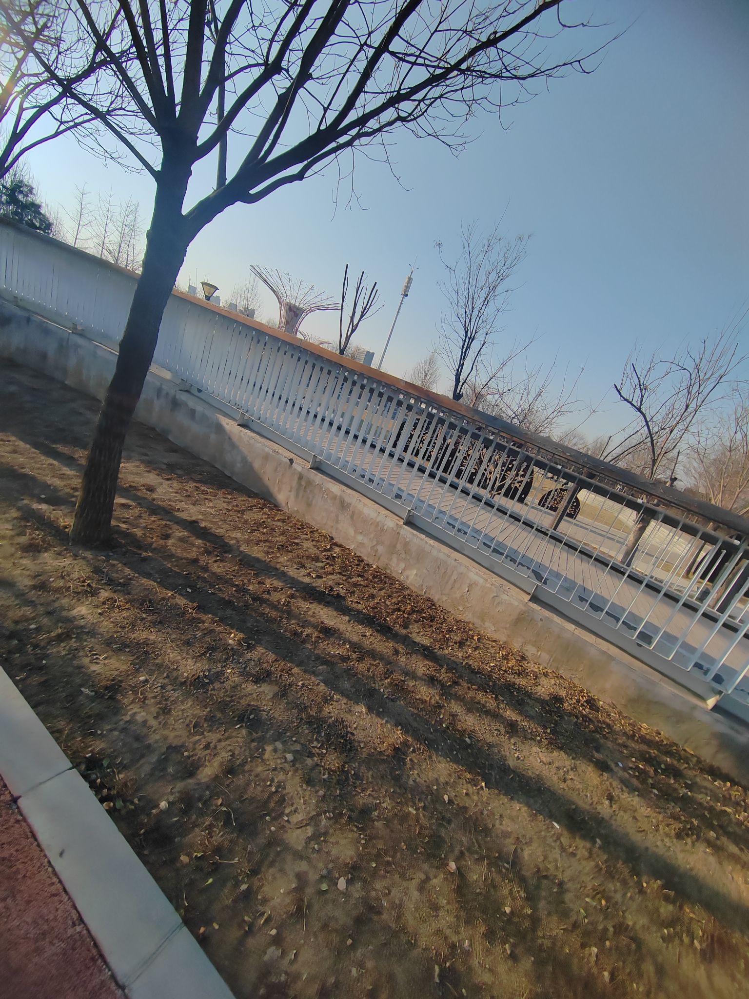 市民客厅公园旅行图片 1