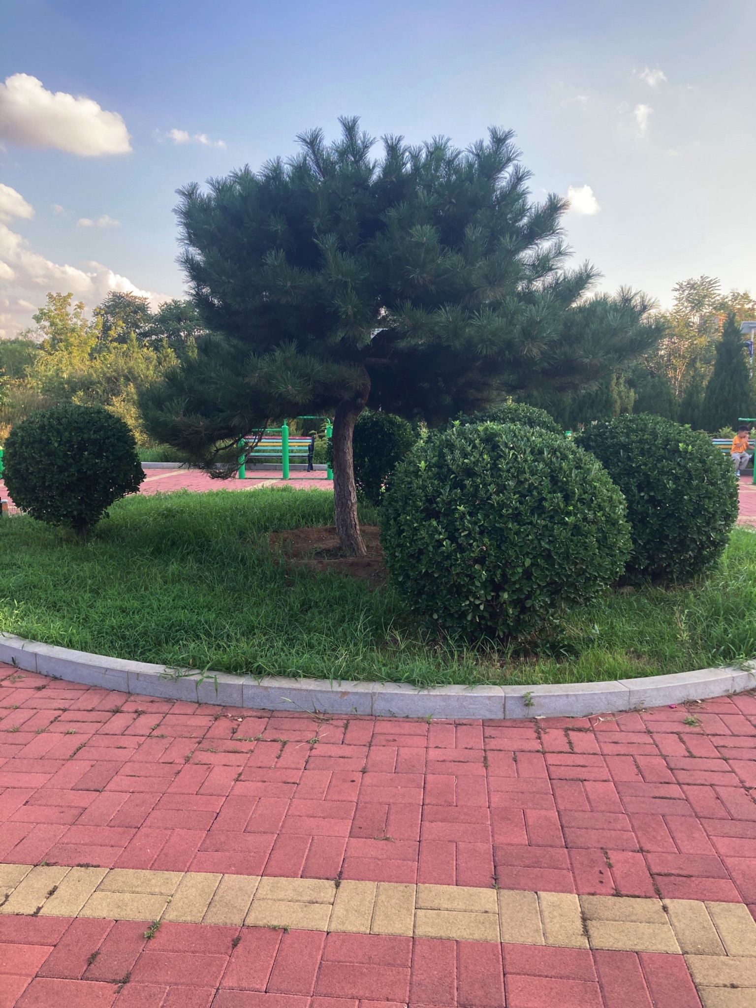 小东山公园旅行图片 2