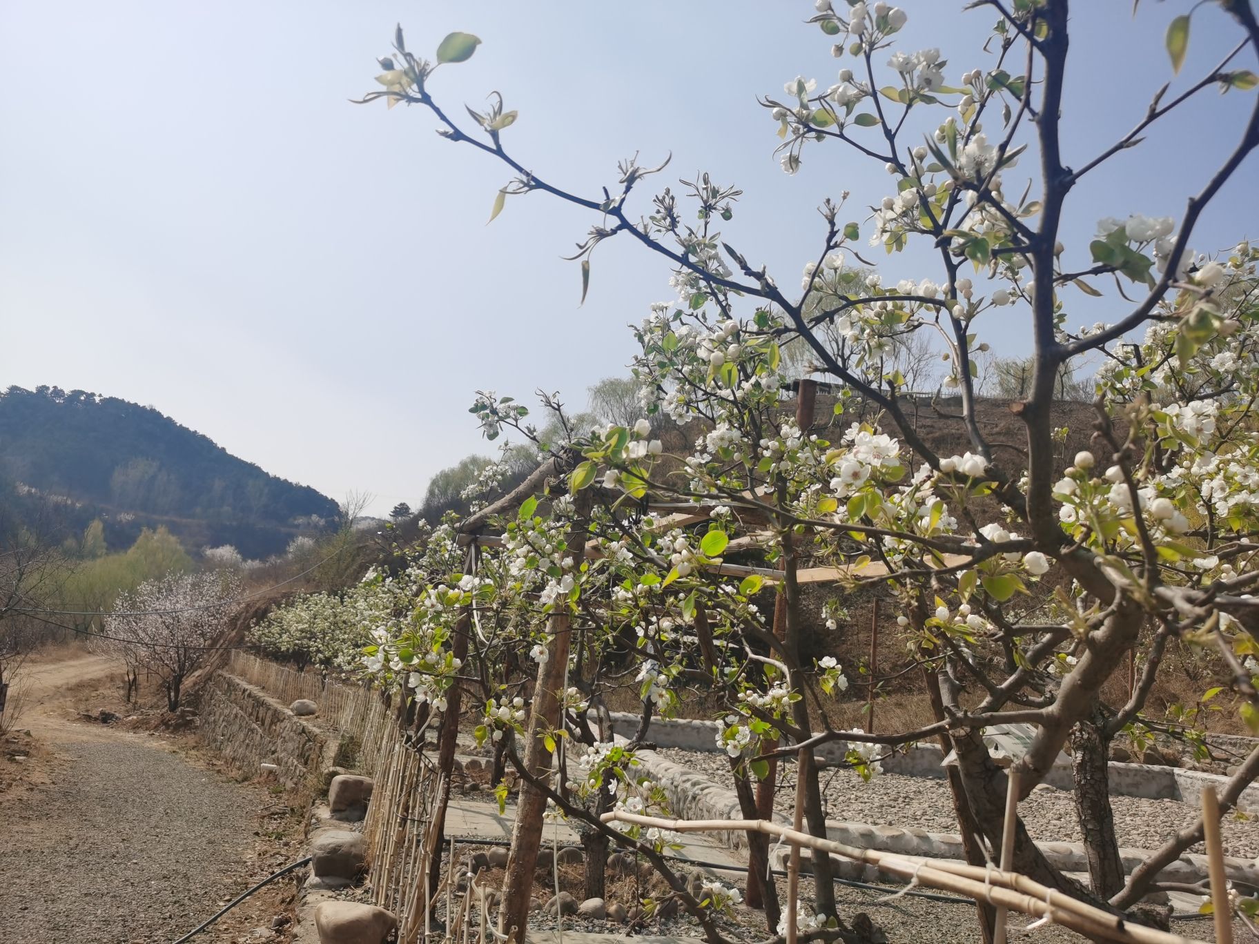 潘家口水库风景区·西码头旅行图片 2