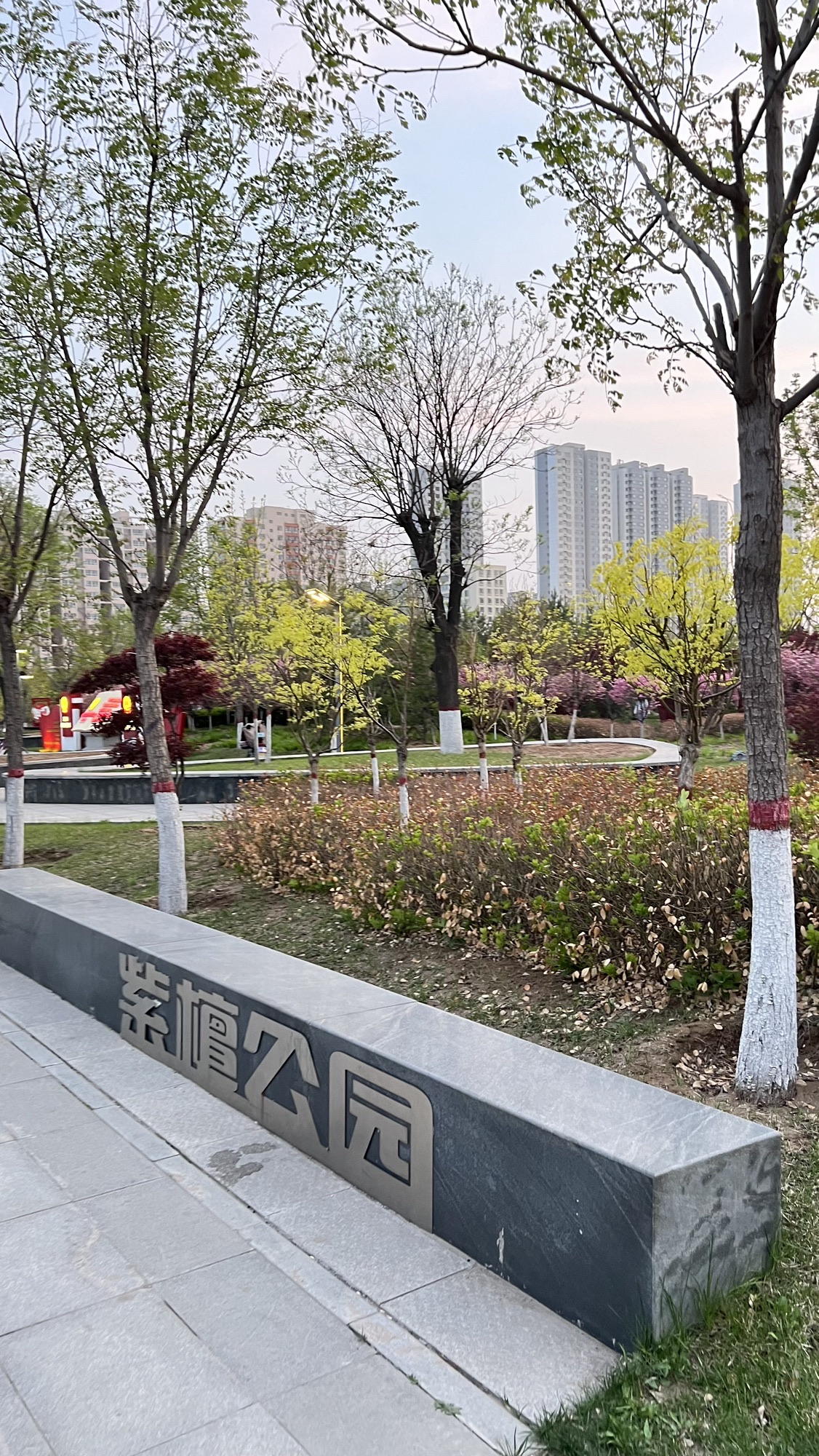 紫檀公园旅行图片 2