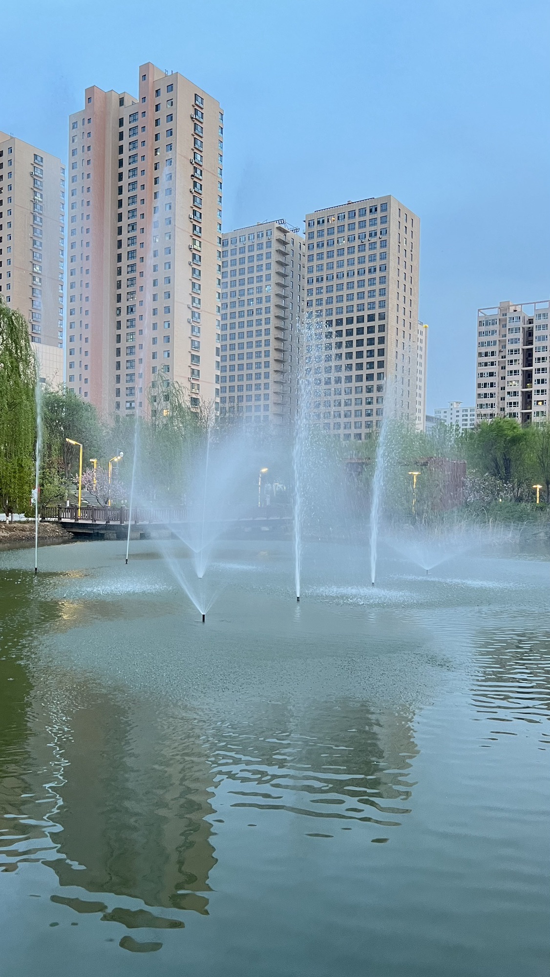紫檀公园旅行图片 3