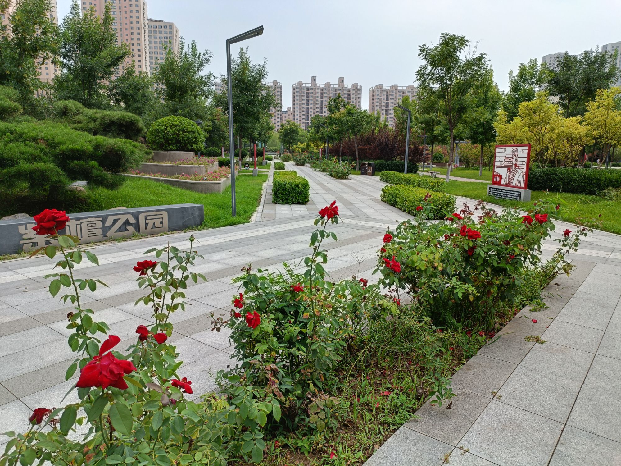 紫檀公园