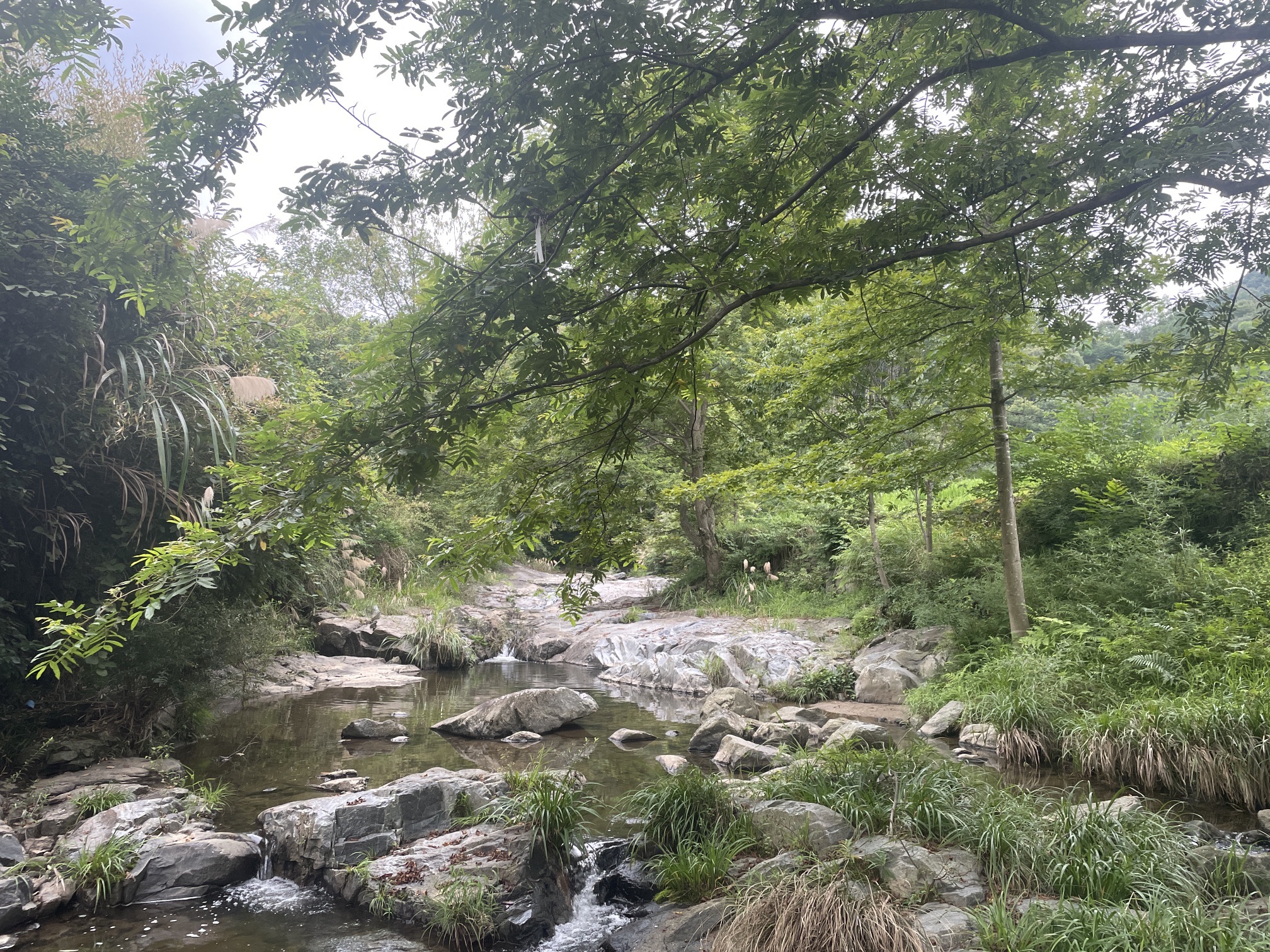 十里溪旅行图片 3