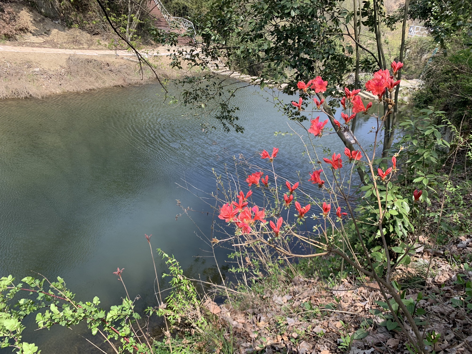 十里溪旅行图片 3