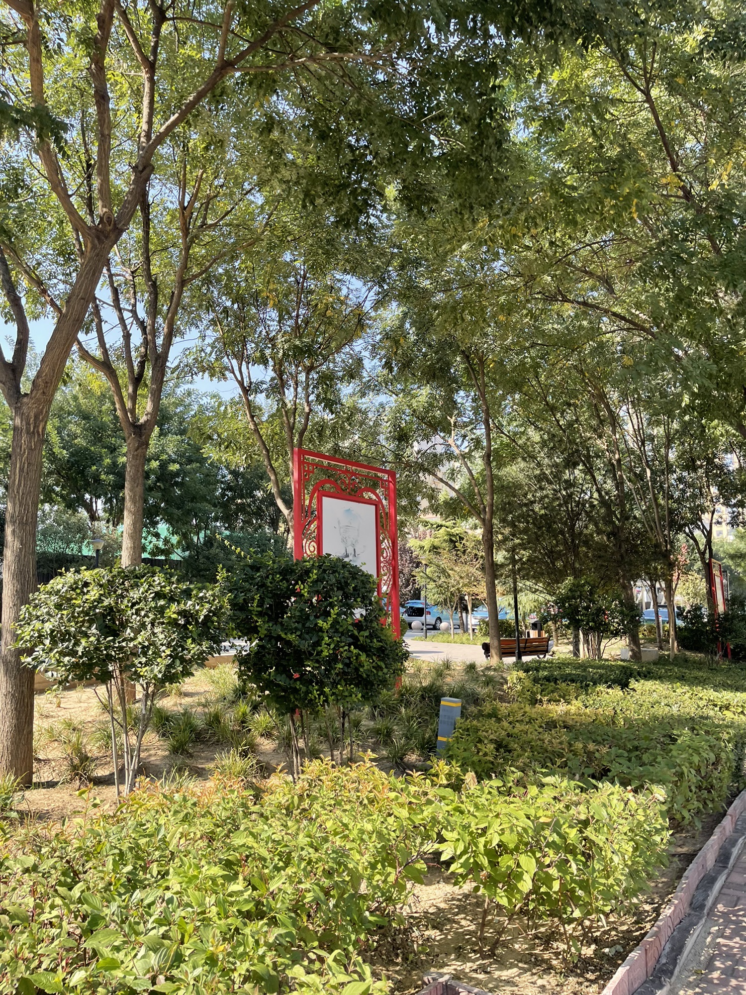 忆故园旅行图片