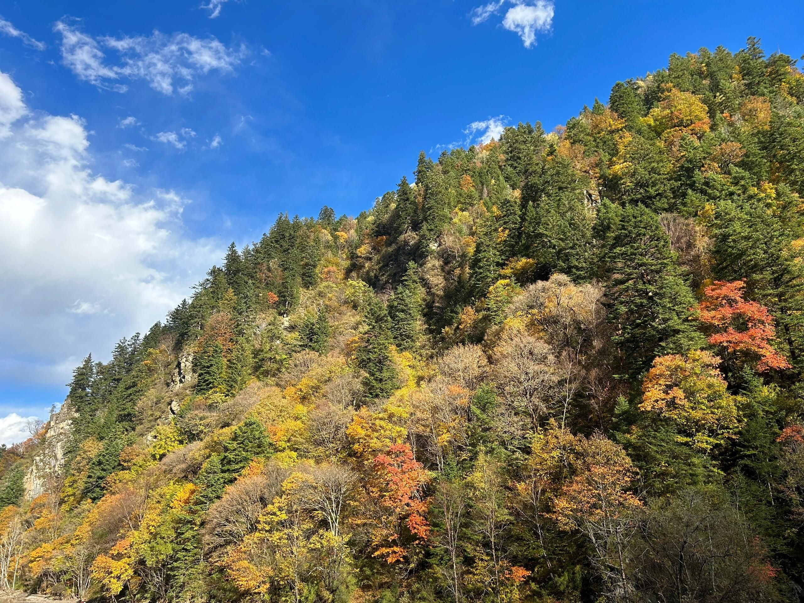 雅克夏国家森林公园旅行图片 2