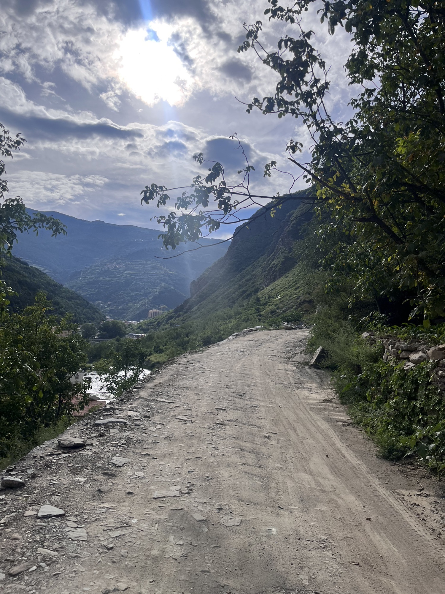 雅克夏国家森林公园旅行图片 1