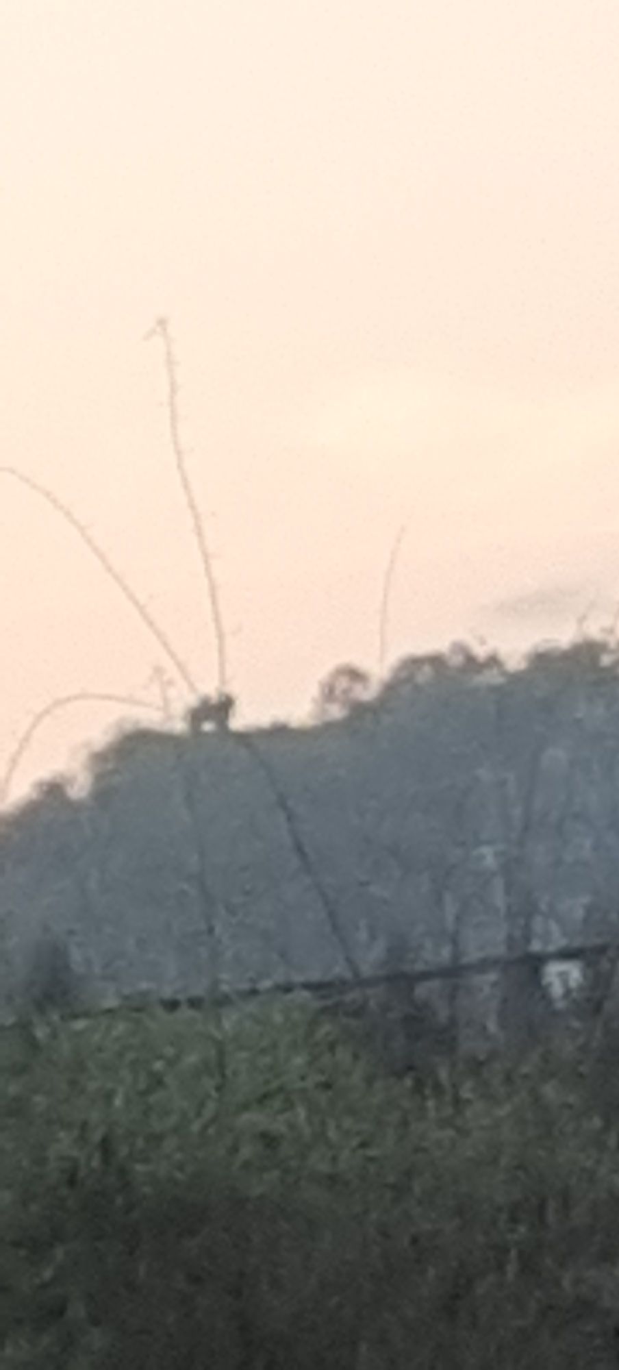 石狗坳旅行图片 1
