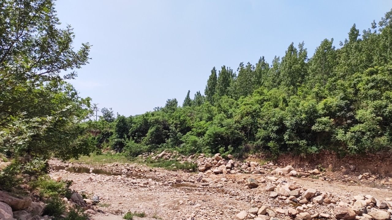 国有信阳市平桥区天目山林场七岭沟林区旅行图片 2