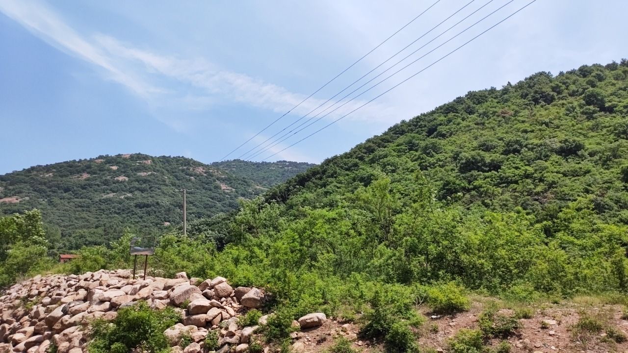 国有信阳市平桥区天目山林场七岭沟林区旅行图片 3