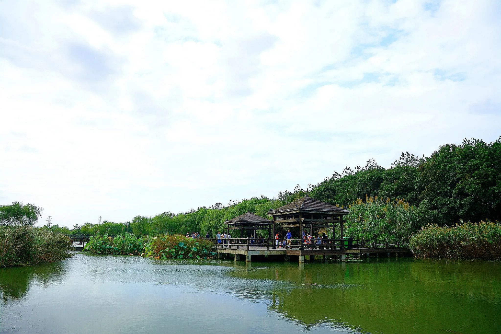 花桥青年城市公园旅行图片 2