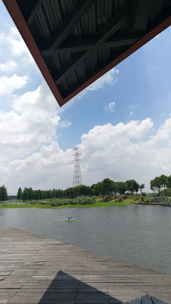花桥青年城市公园旅行图片 3