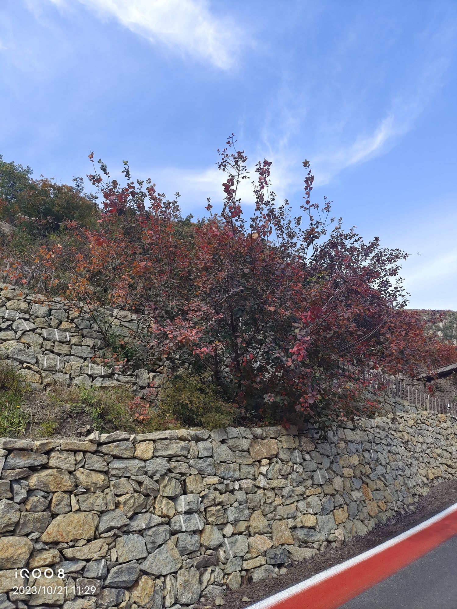 佛照山景区旅行图片 1