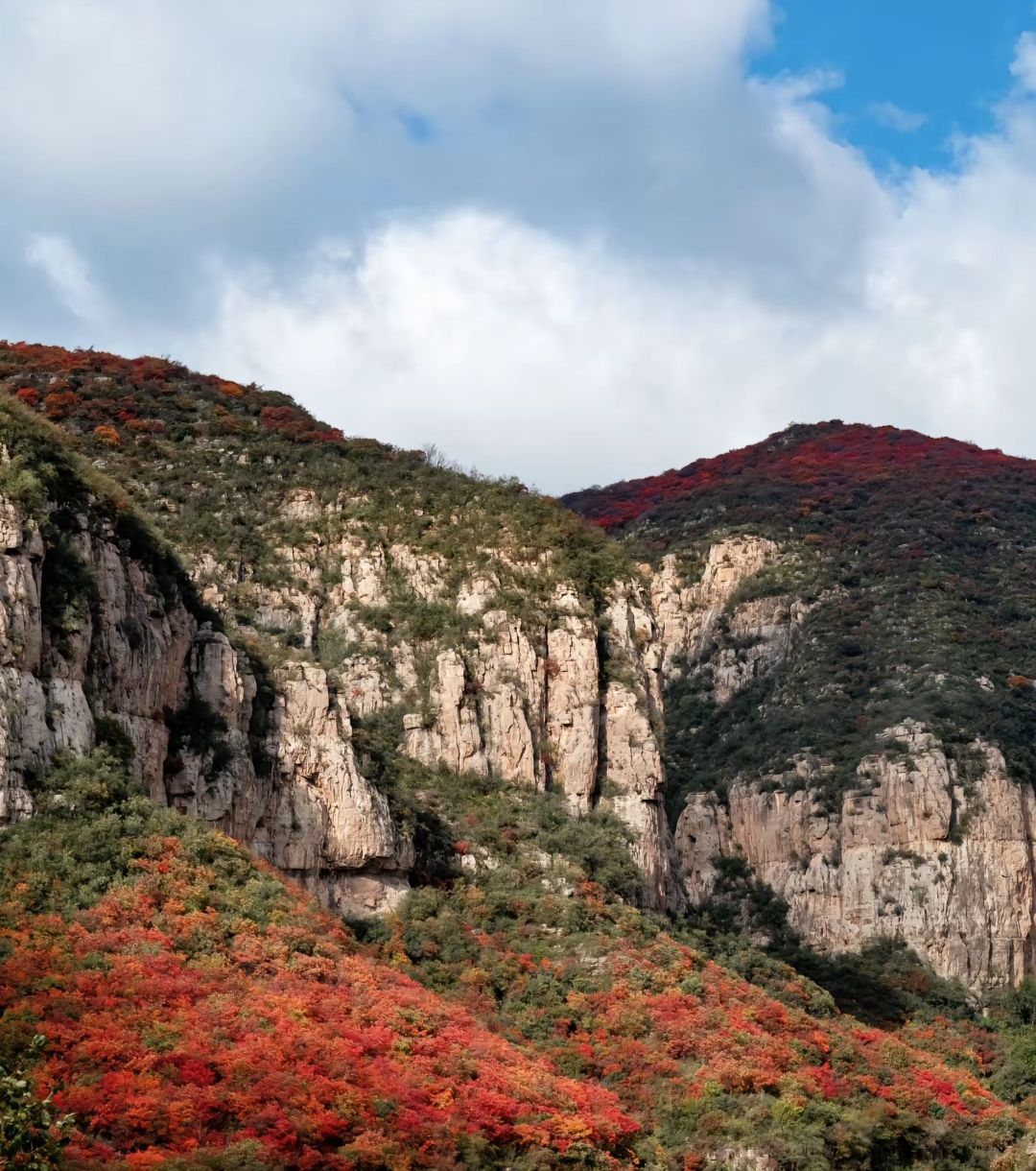 佛照山景区旅行图片 2