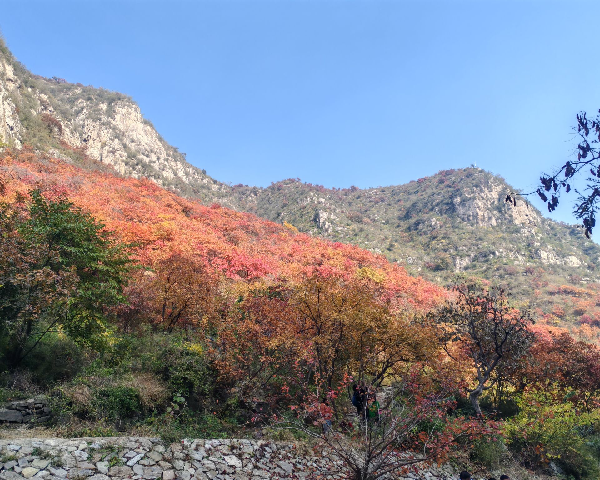 佛照山景区旅行图片 1