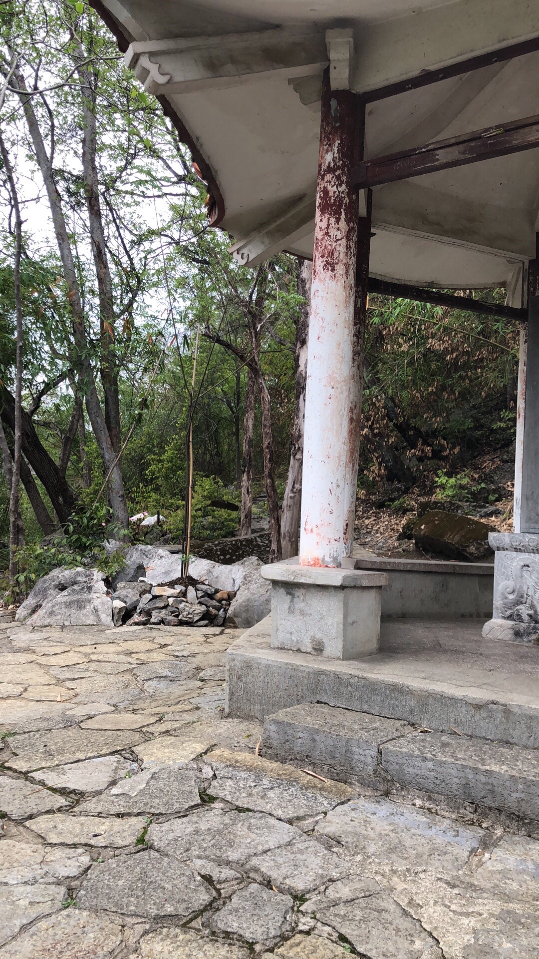 骝马山旅行图片 1