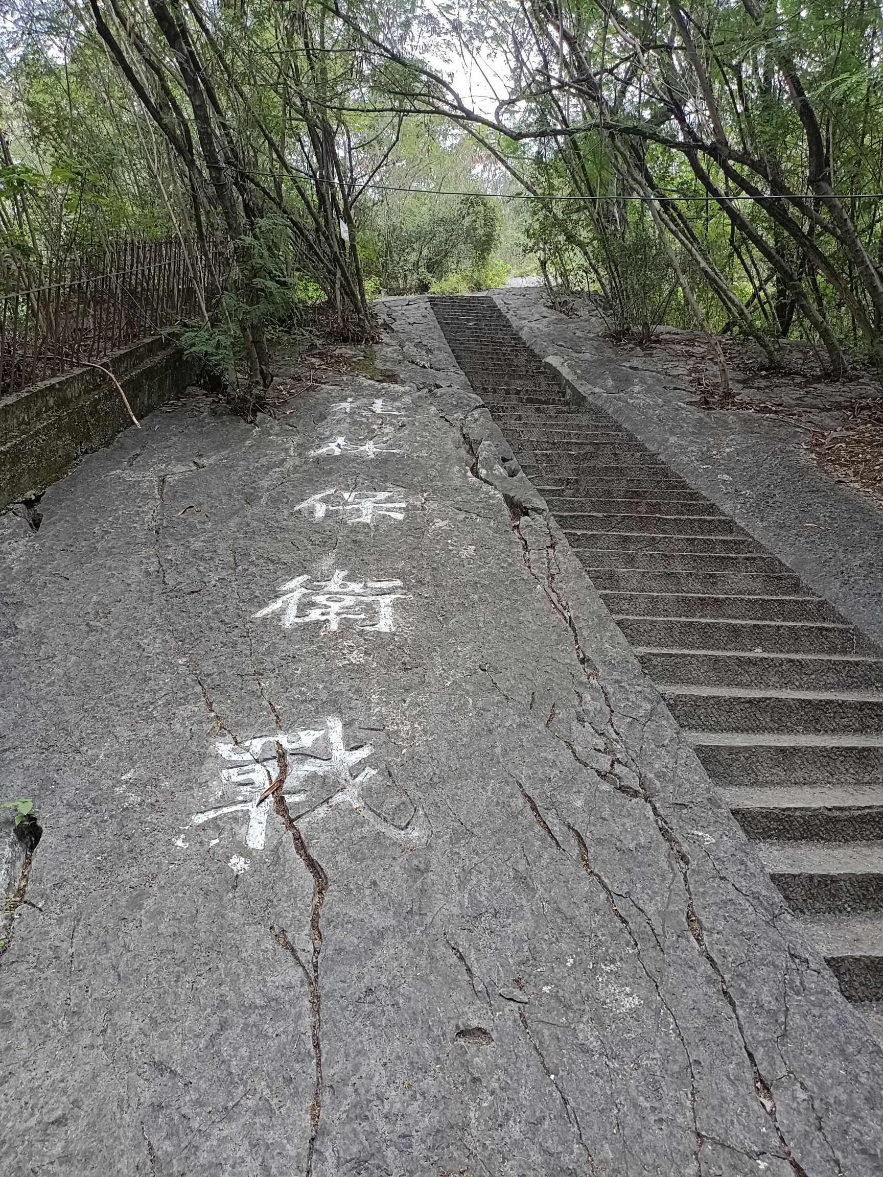 骝马山旅行图片 2
