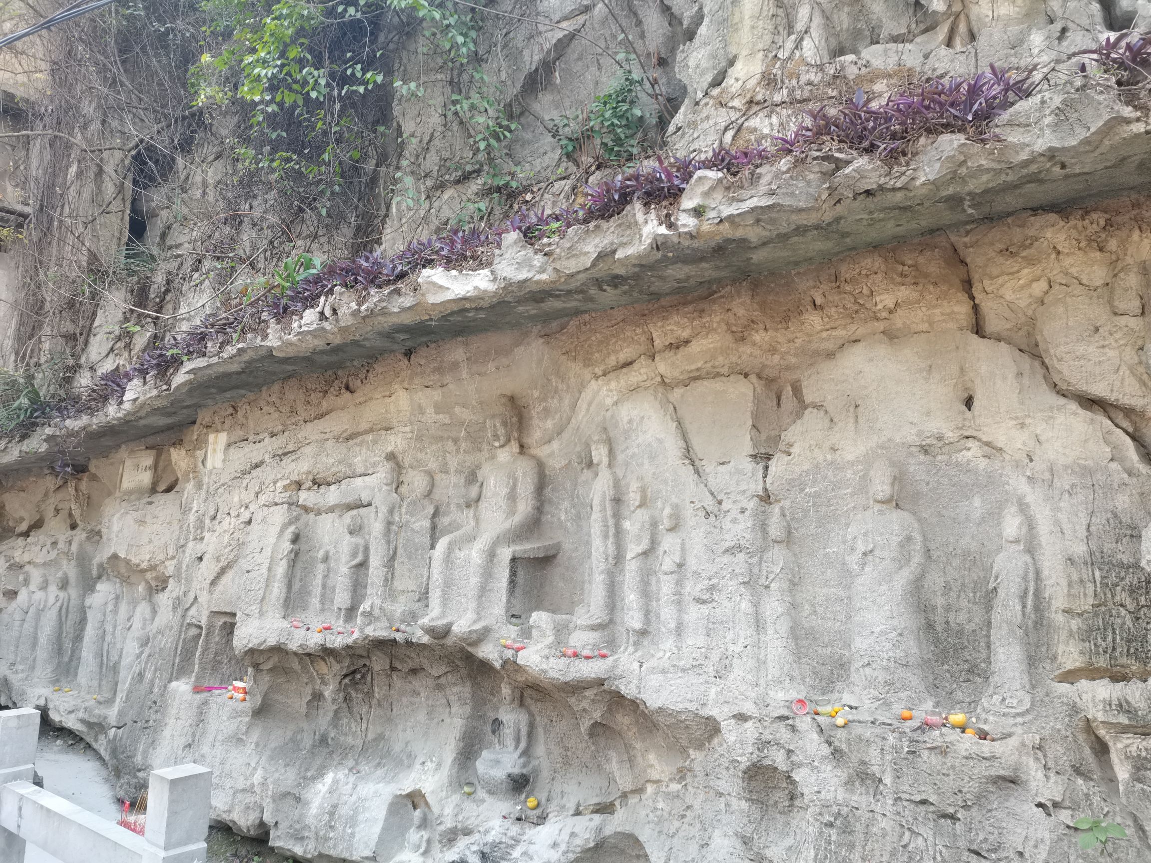 骝马山旅行图片 1