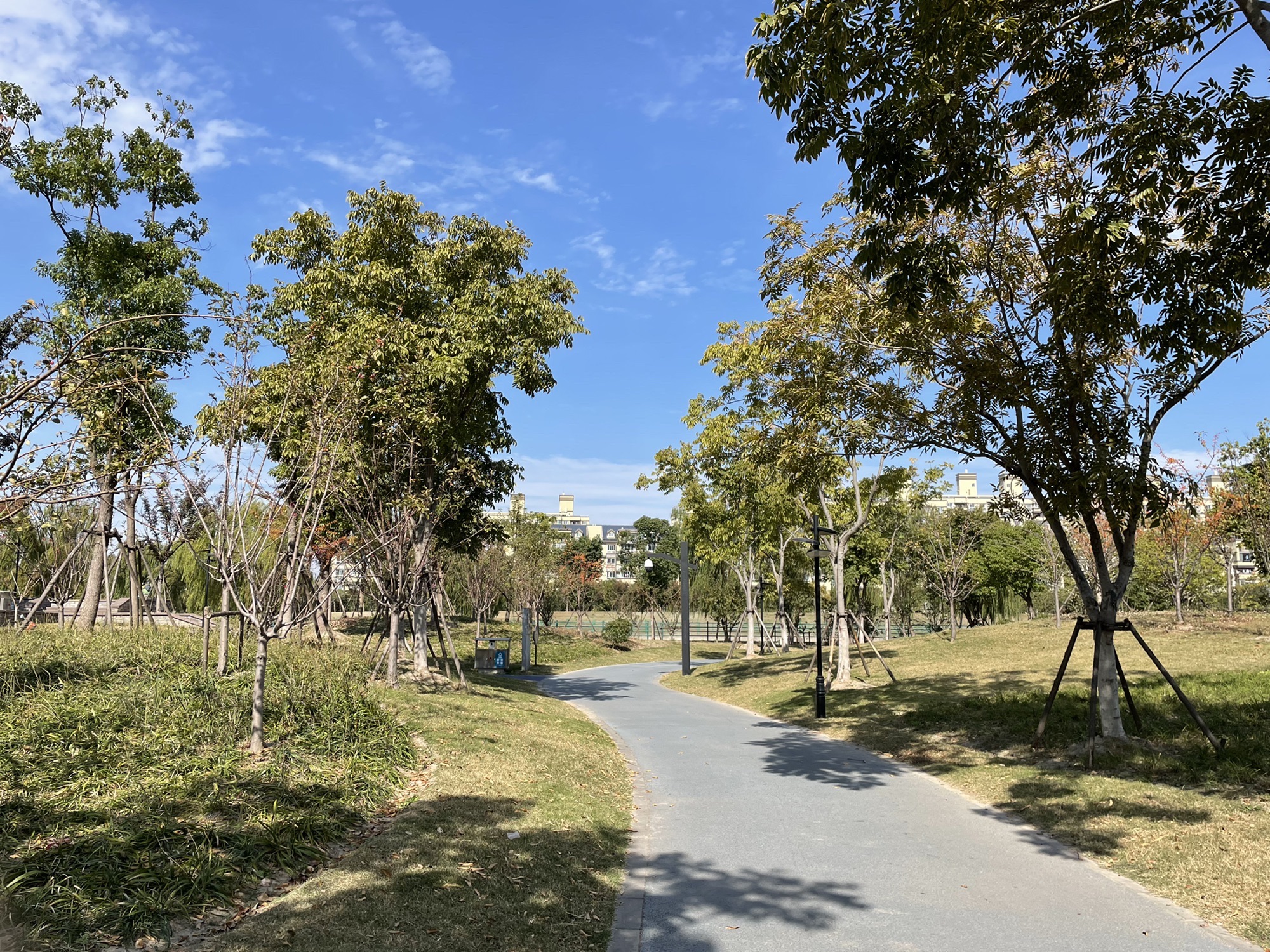 盘古公园旅行图片 3