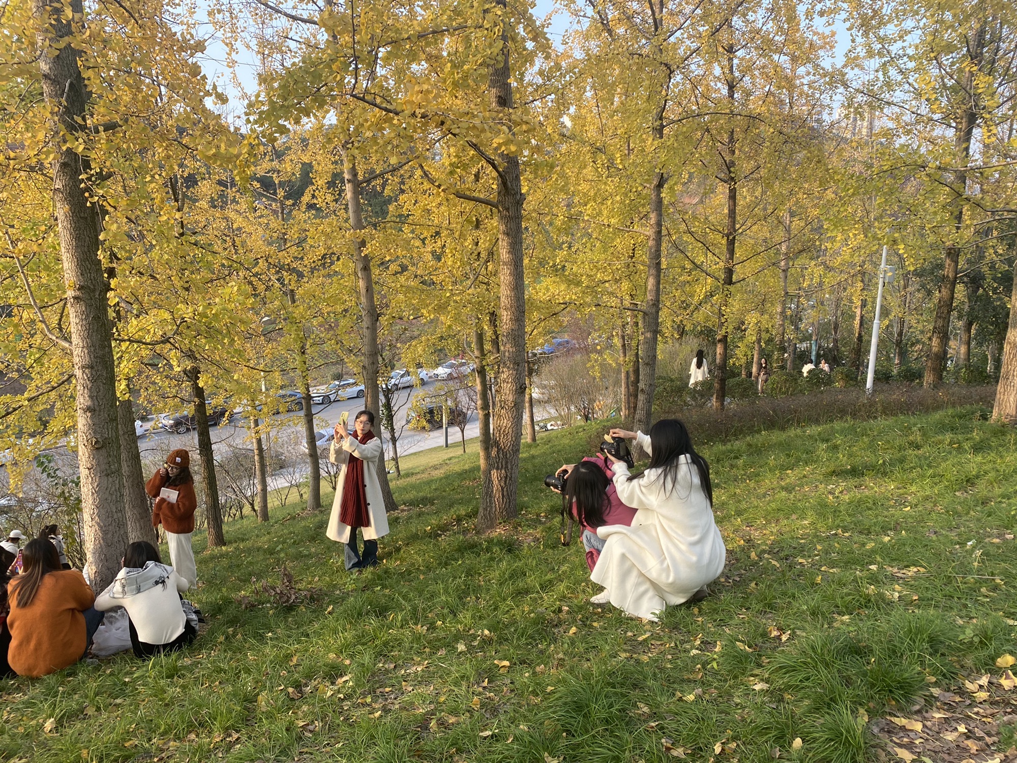 深广人才公园旅行图片 1