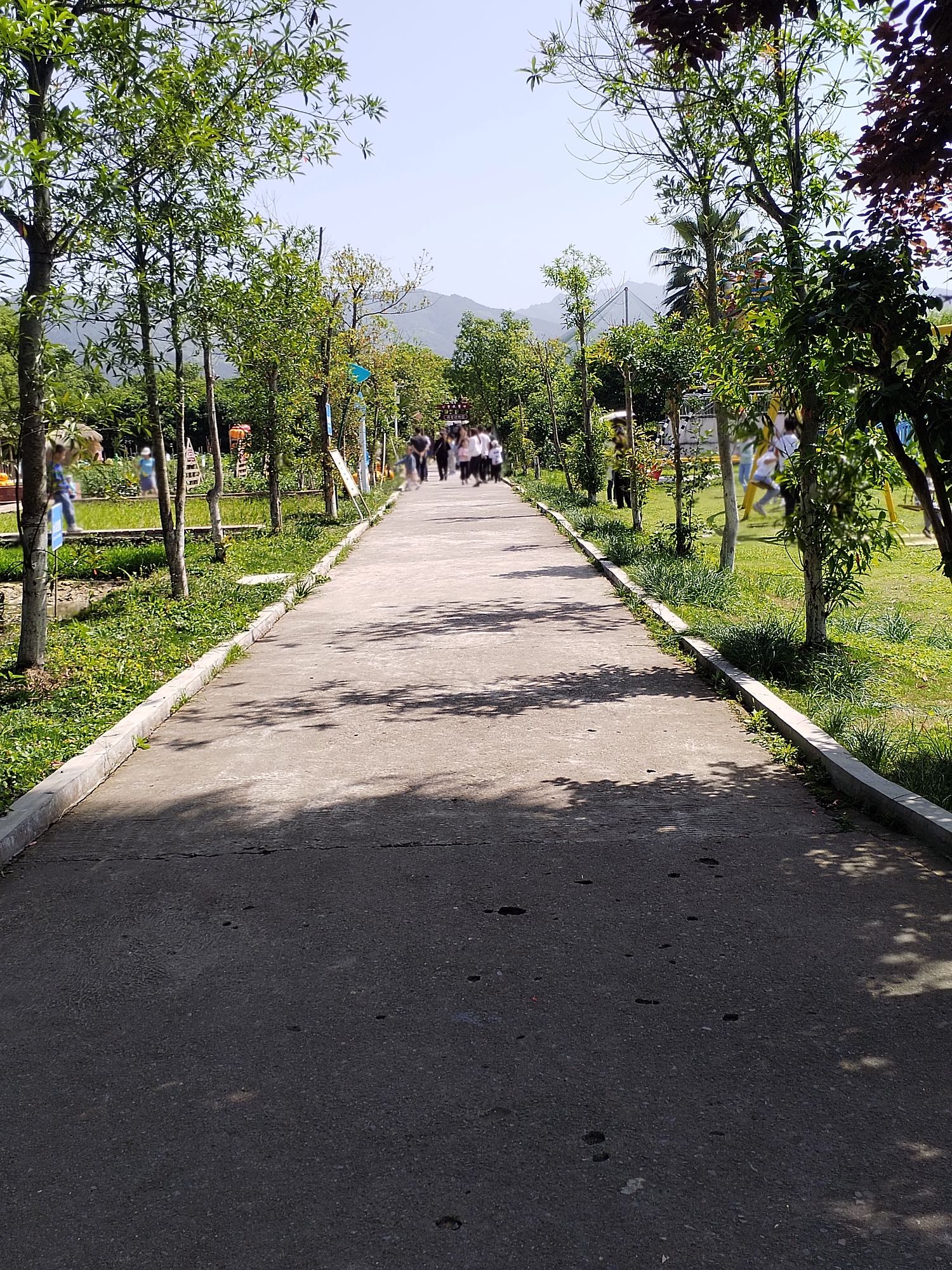 童话森林王国旅行图片 2
