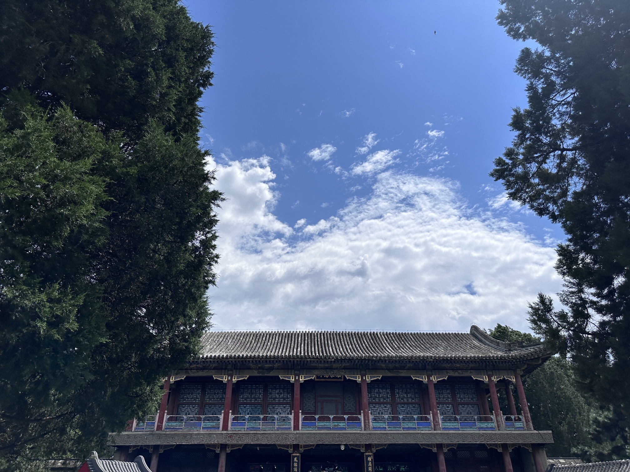 童话森林王国旅行图片 3