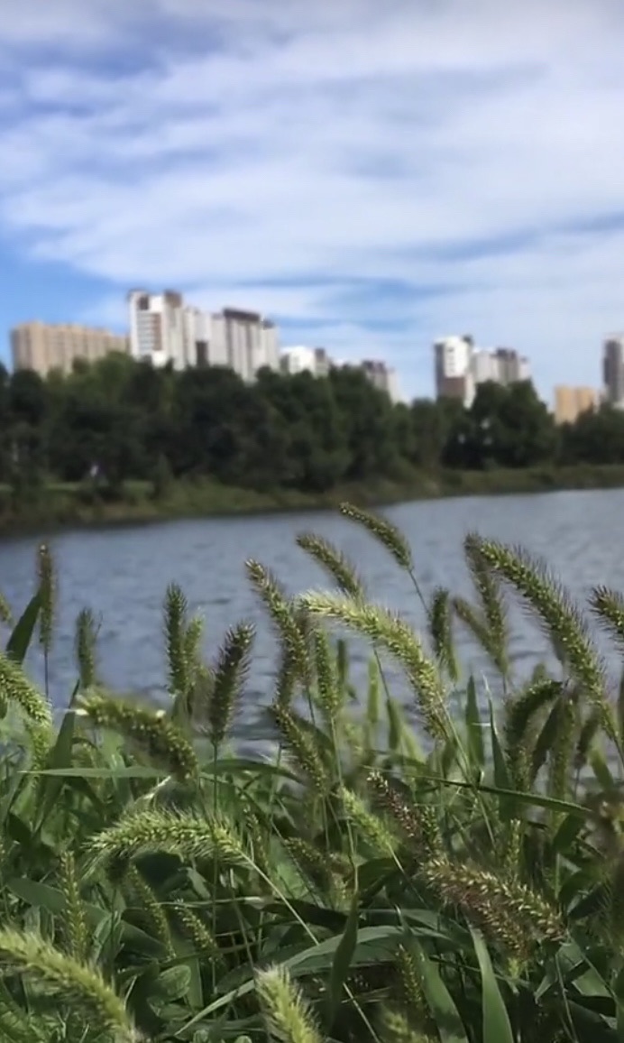 滨河湿地公园旅行图片 3