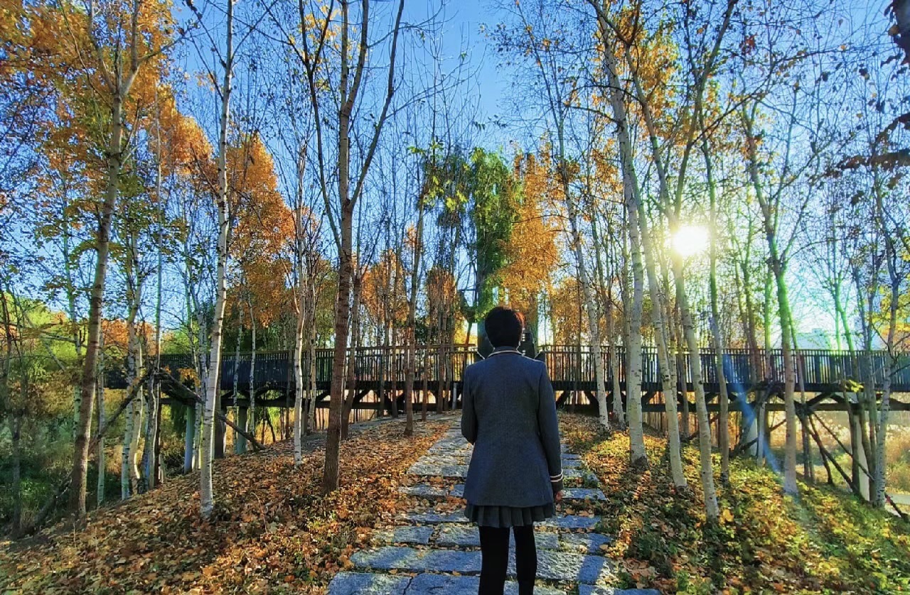 滨河湿地公园旅行图片 1