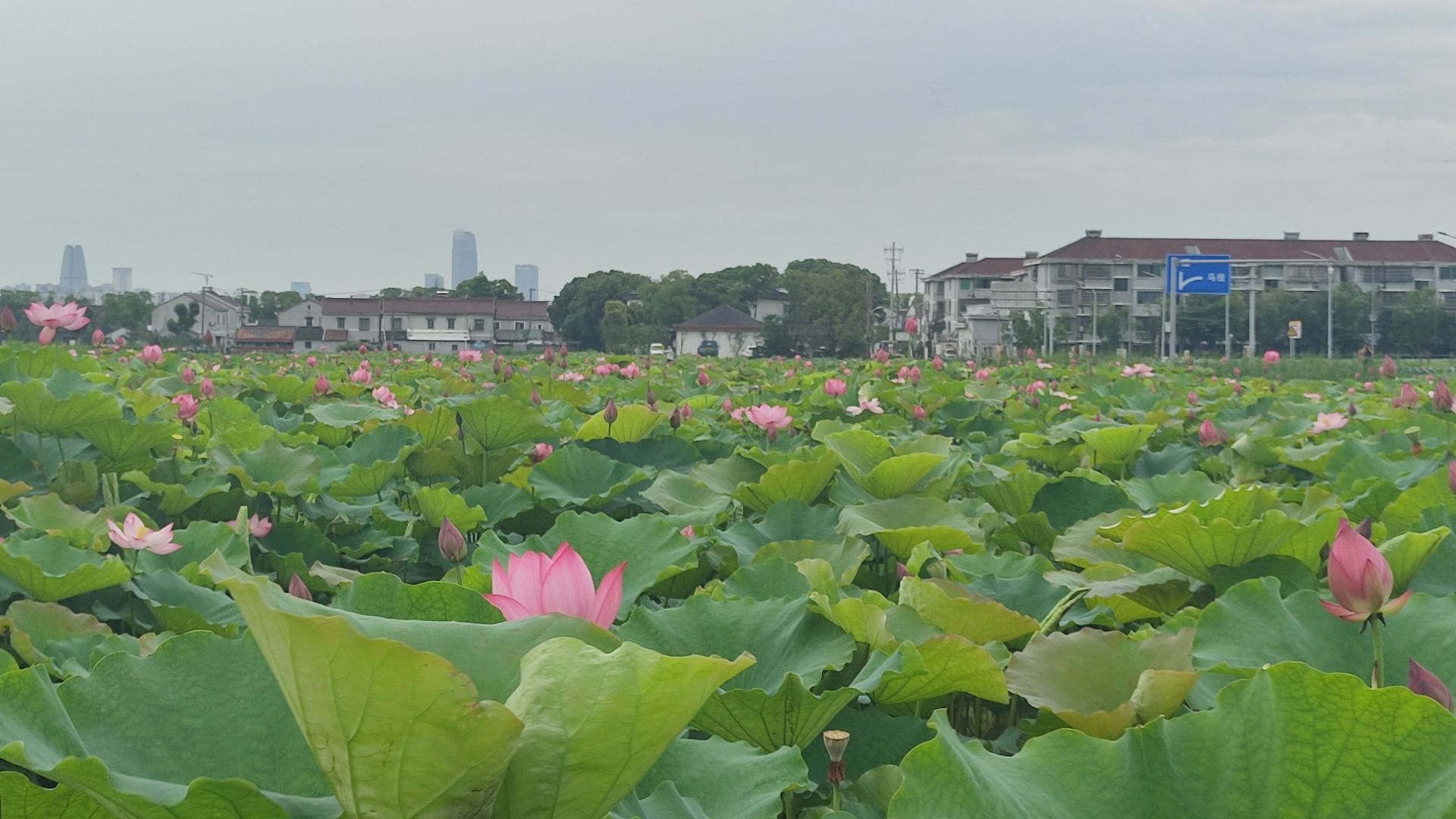 巴蜀文化村旅行图片 2