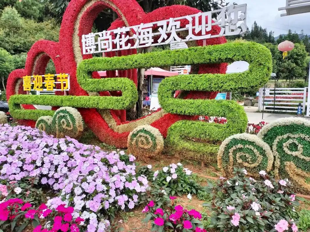 博尚花海
