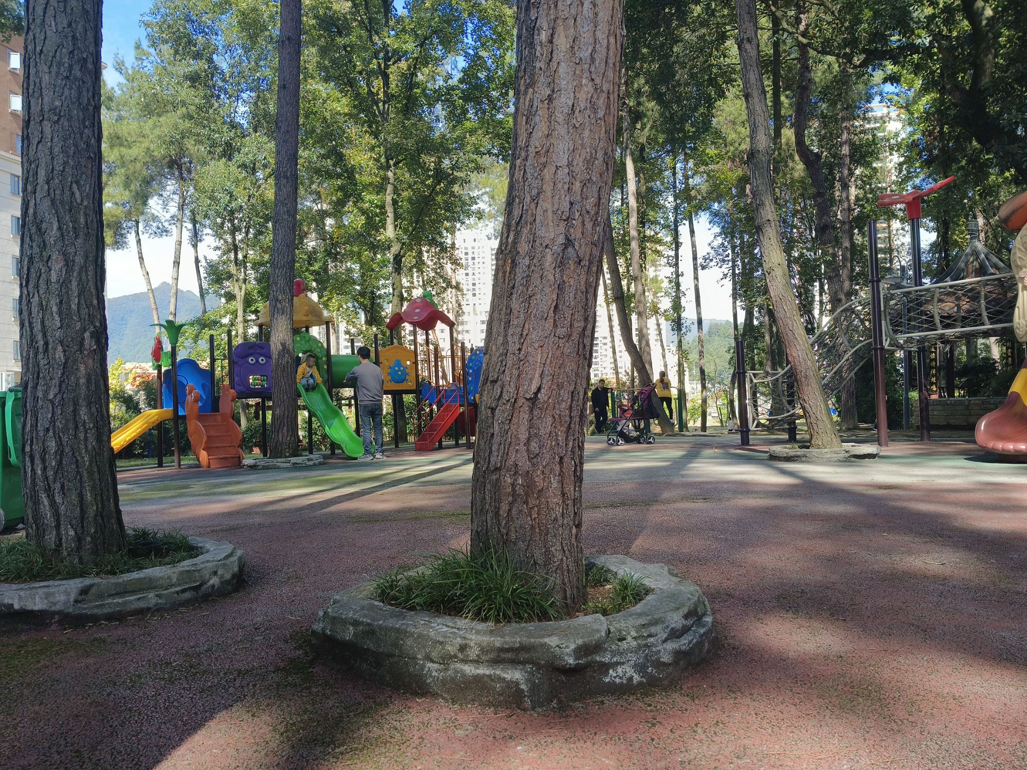 天瑞森林公园旅行图片 1