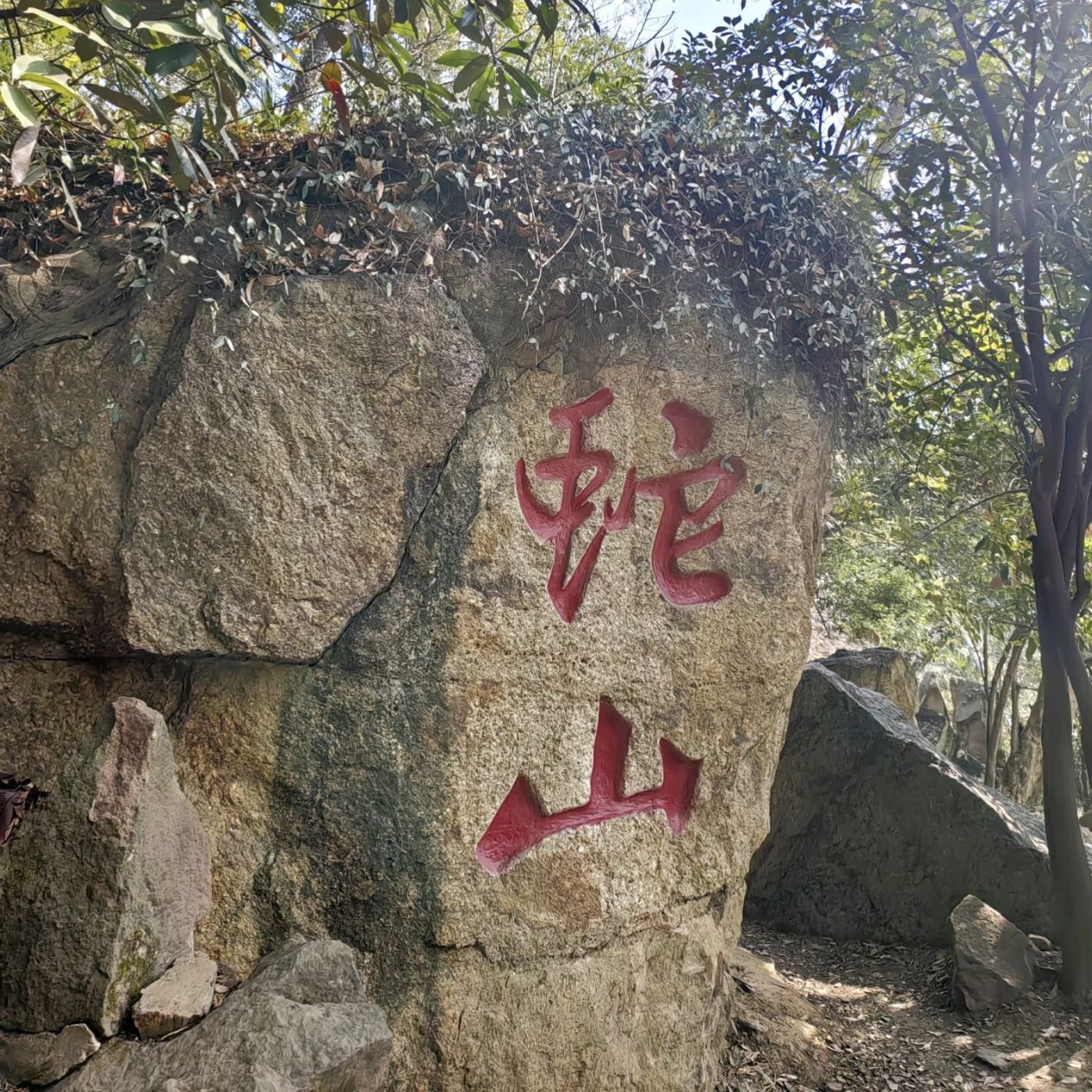 蛇山公园