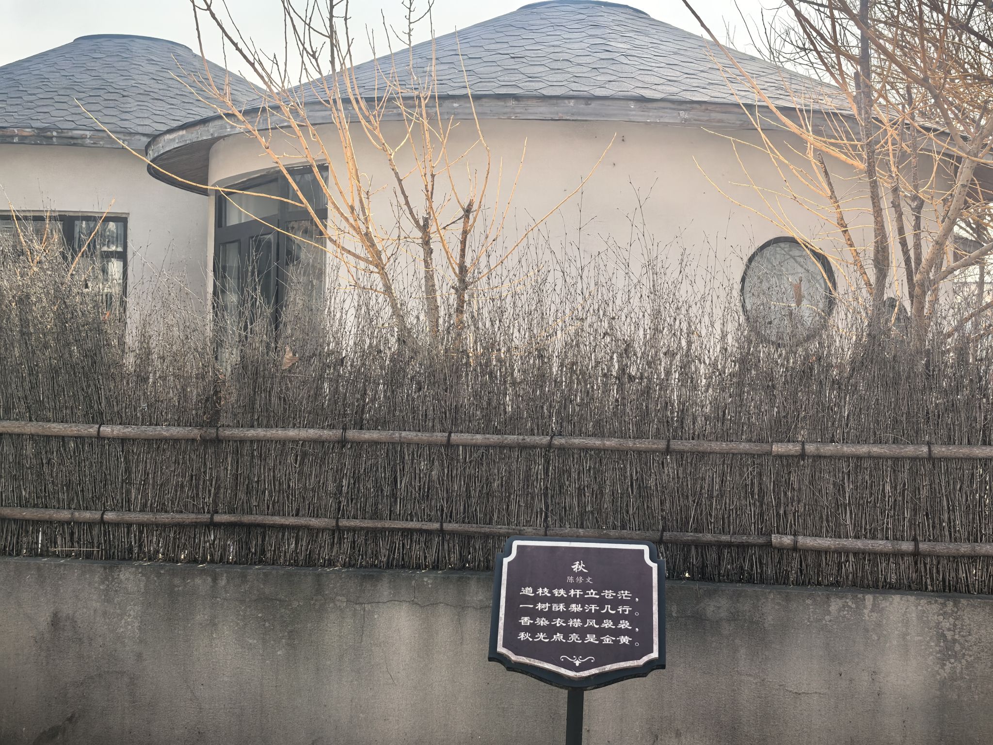 砀山县梨树王景区魏寨民俗旅行图片 2