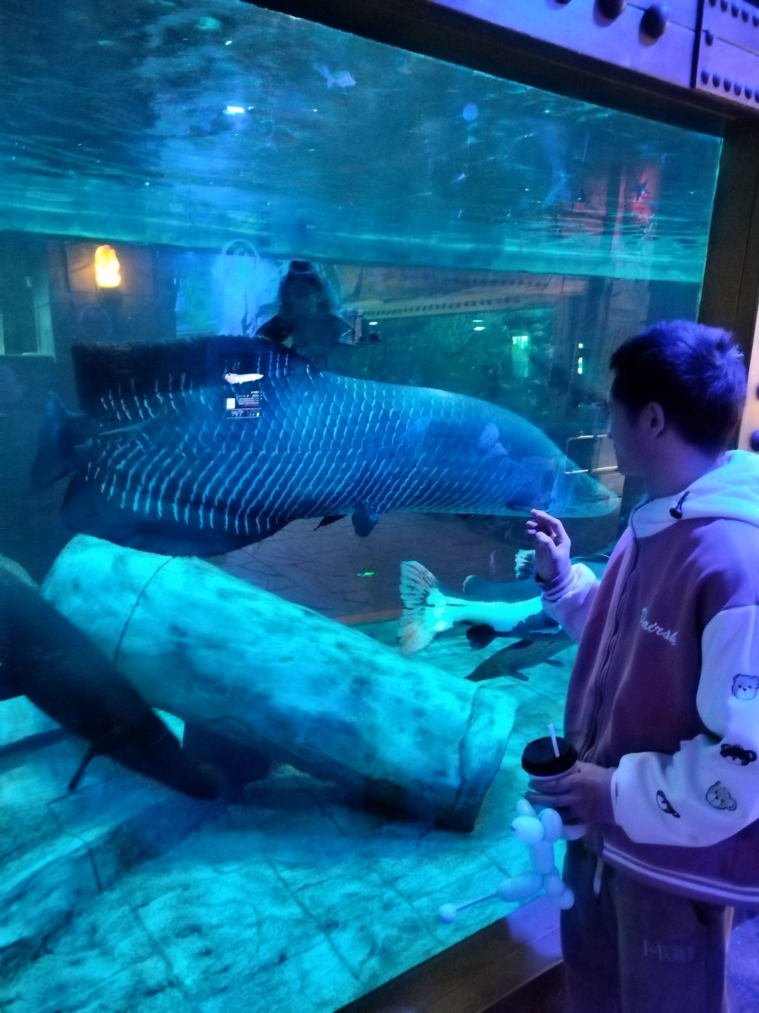 金华万泰海立方海洋公园旅行图片 1