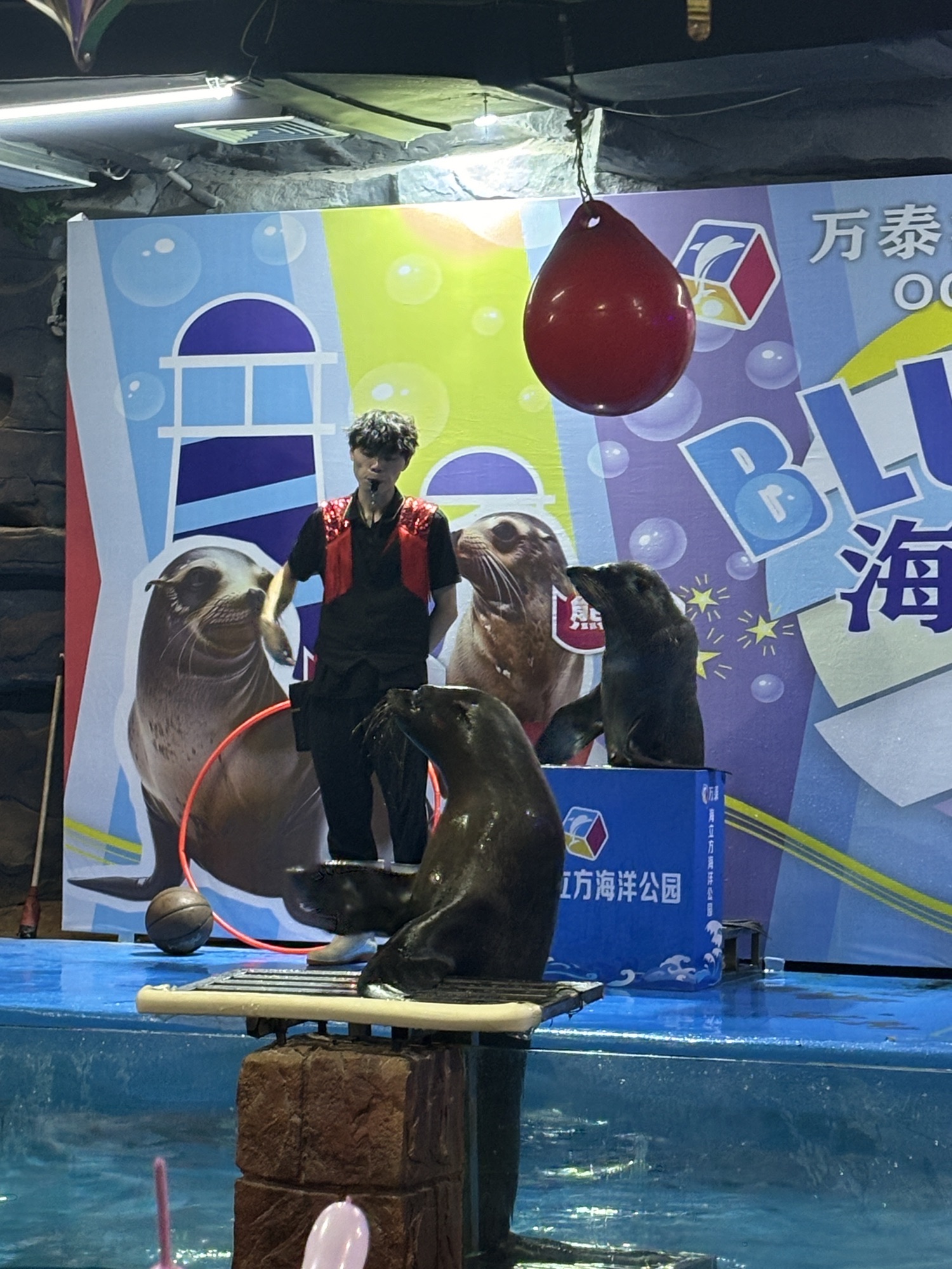 金华万泰海立方海洋公园旅行图片 3
