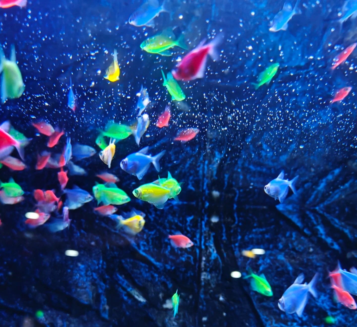 金华万泰海立方海洋公园旅行图片 2