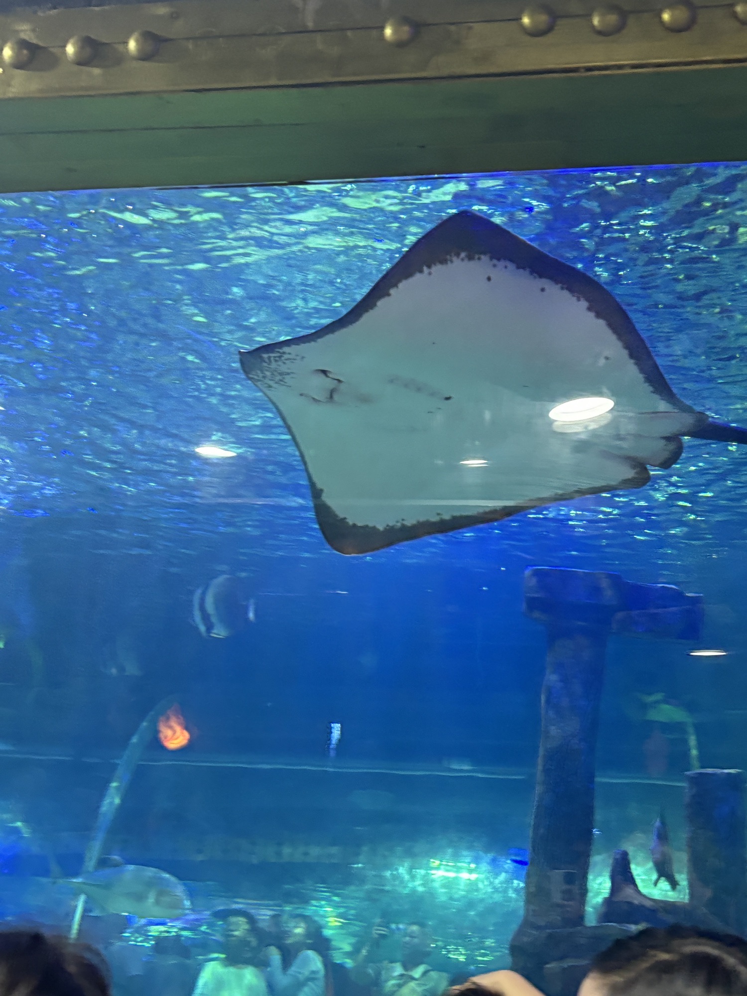 金华万泰海立方海洋公园旅行图片 1