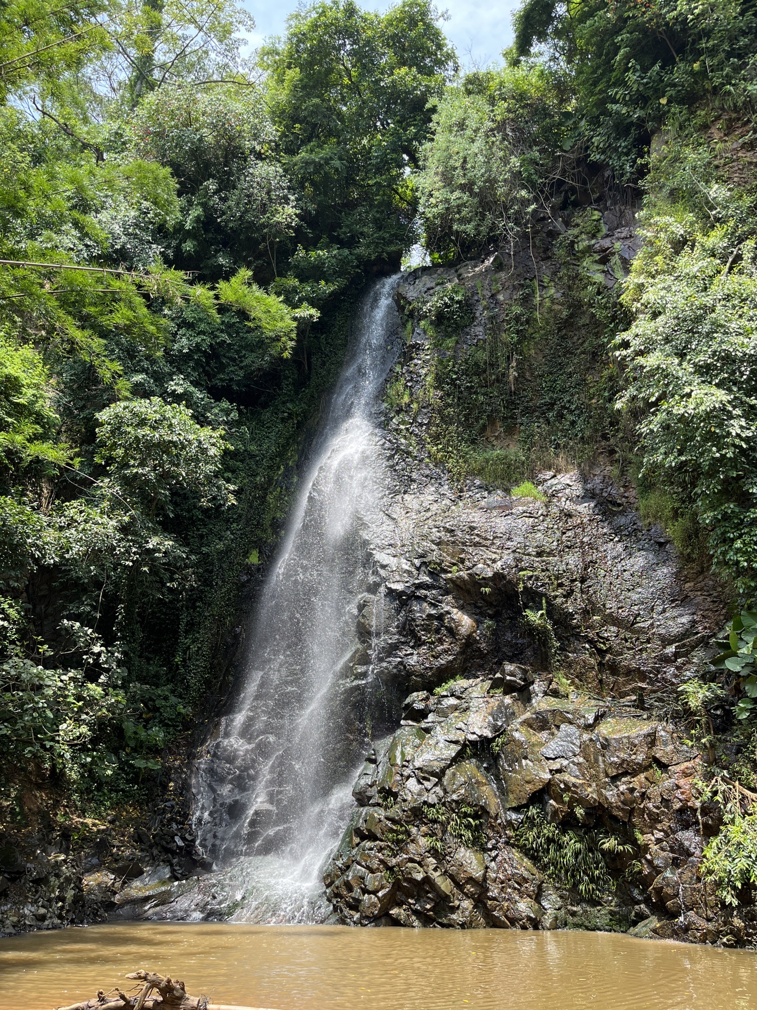 鲤鱼跳龙门旅游景区旅行图片 2