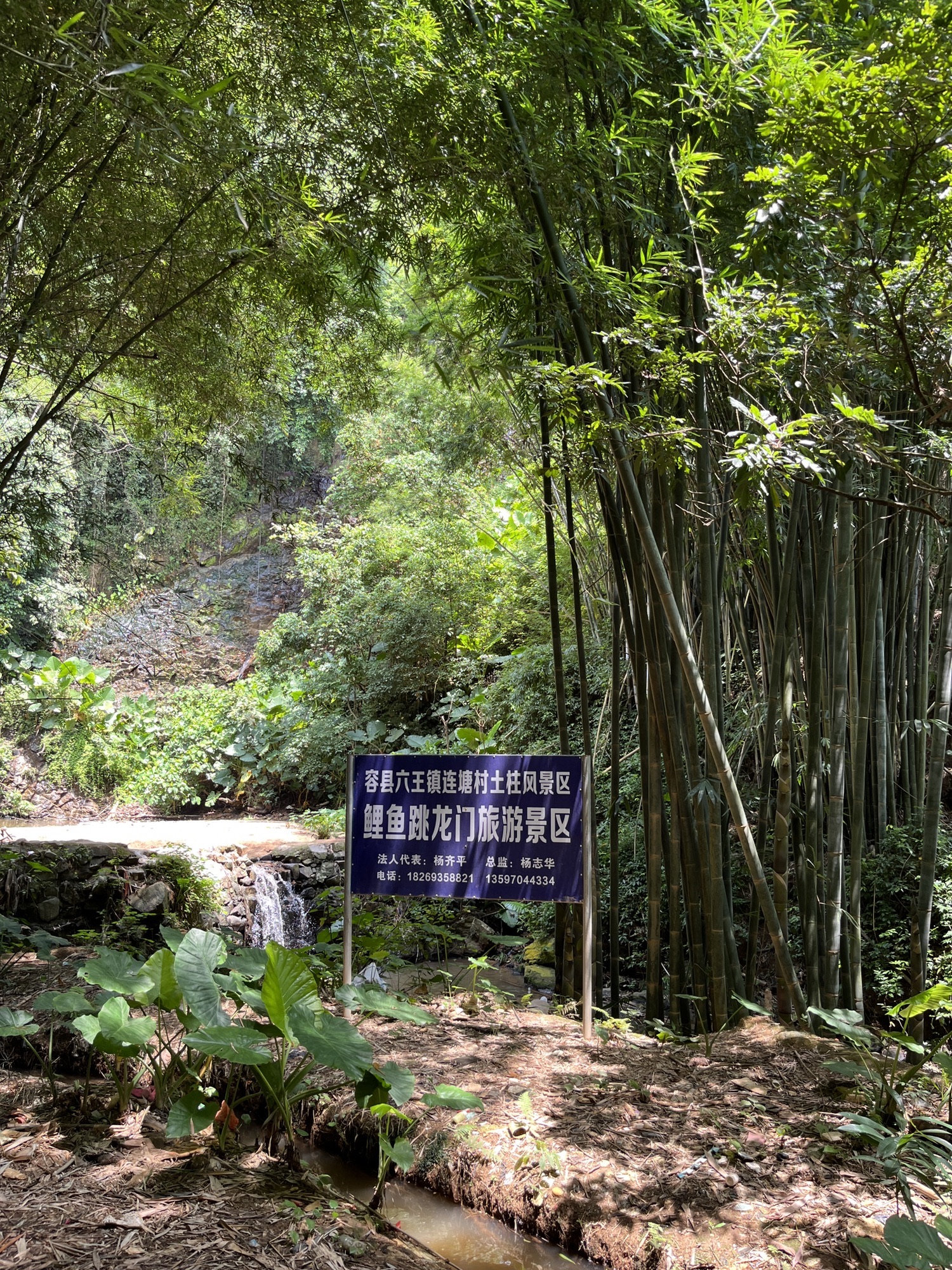 鲤鱼跳龙门旅游景区旅行图片 1