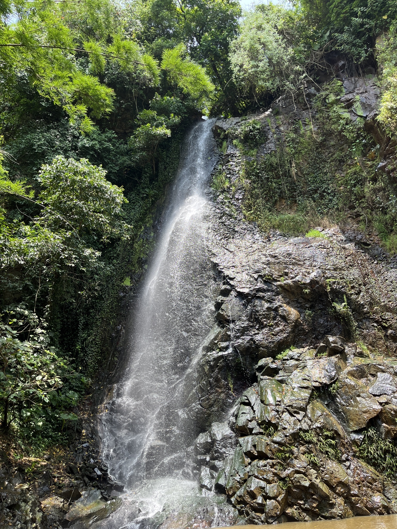 鲤鱼跳龙门旅游景区旅行图片 3