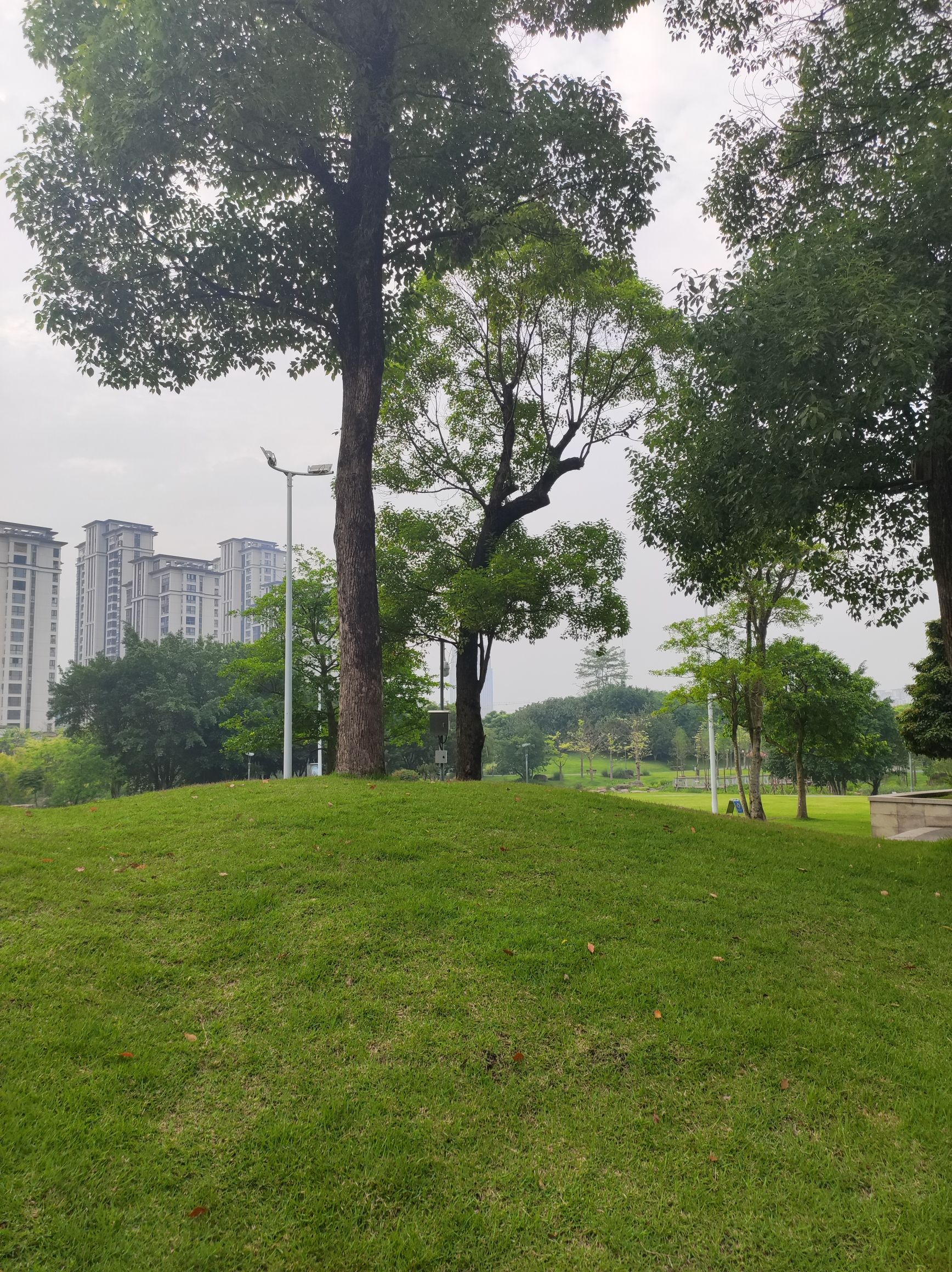 晋安湖公园旅行图片 3