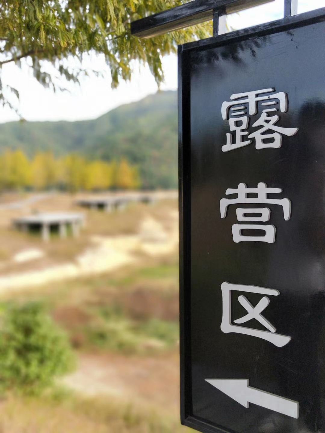 百丈时尚体育小镇旅行图片 1
