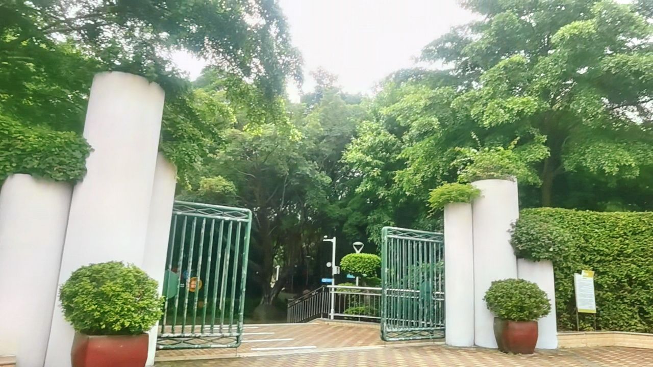 鮀岛苗圃公园旅行图片 2