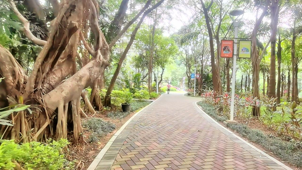 鮀岛苗圃公园旅行图片 3