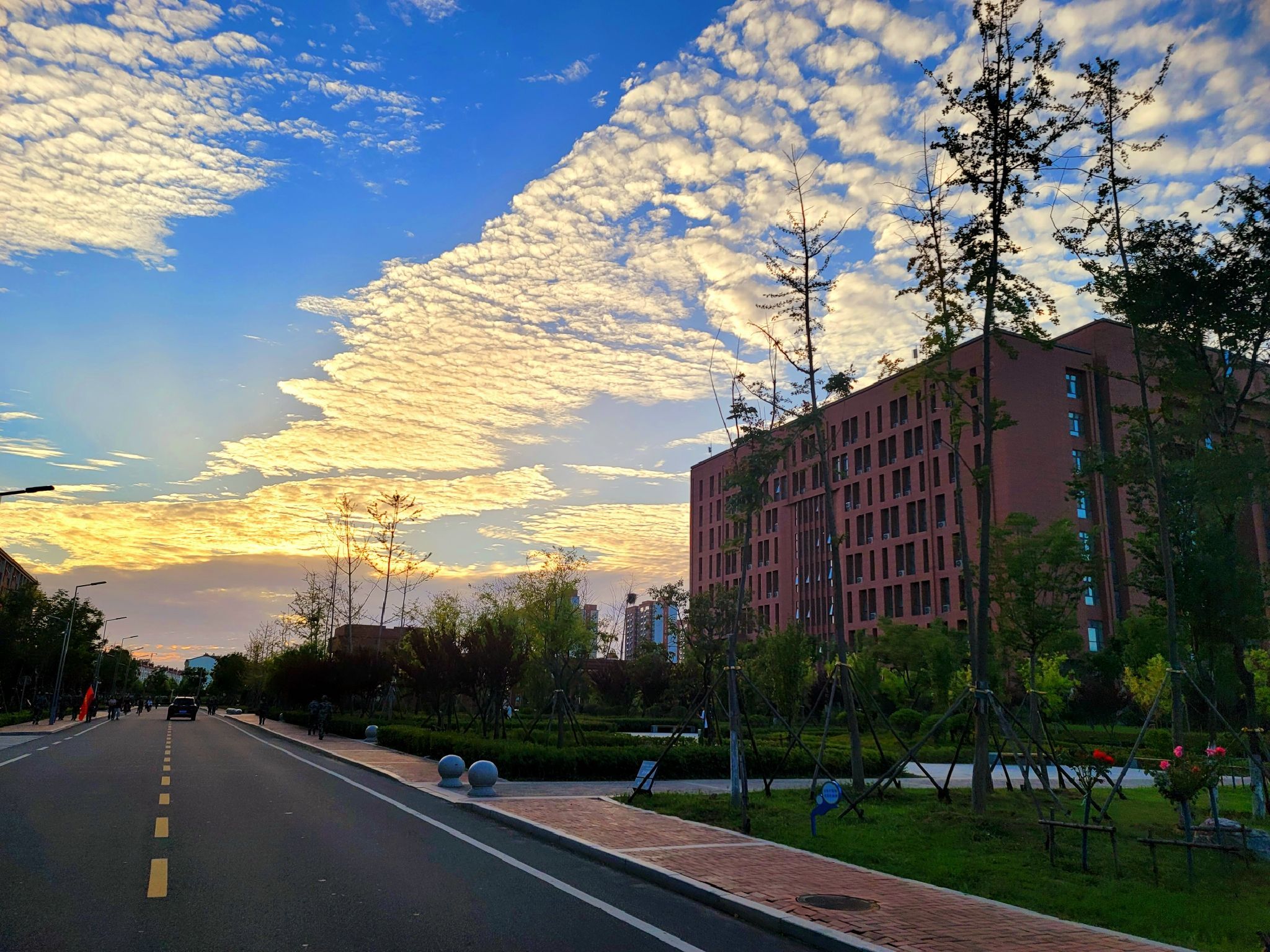 临沂科技职业学院