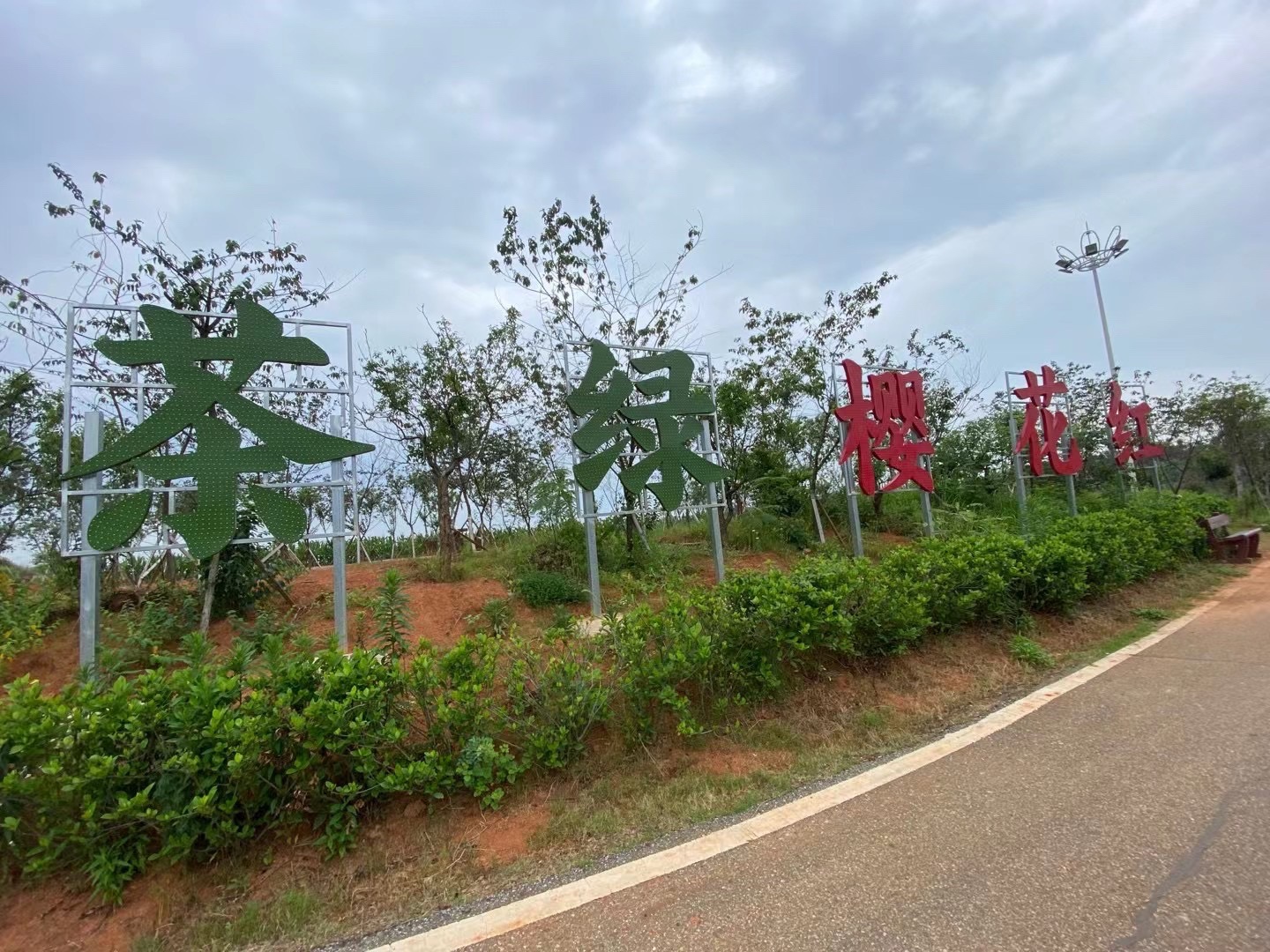 茶香小镇旅行图片 1