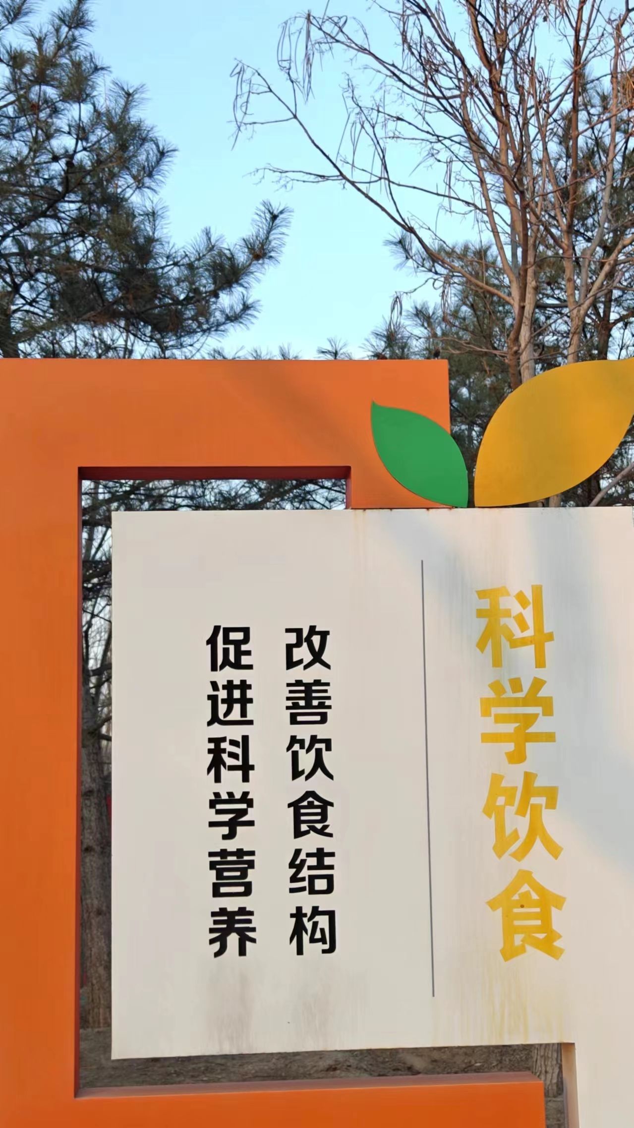 旧宫城市森林公园旅行图片 2